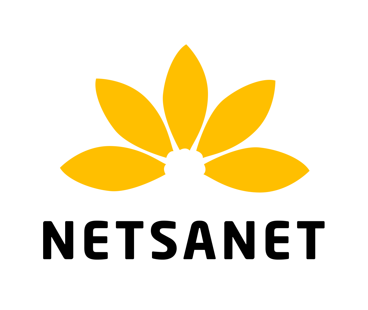 Netsanet e.V. Logo